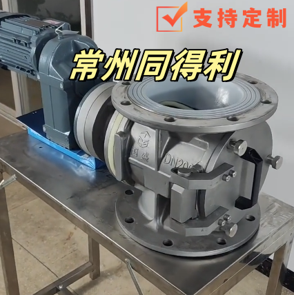 DN200側(cè)開-特氟龍法蘭-尼龍葉輪_常州同得利